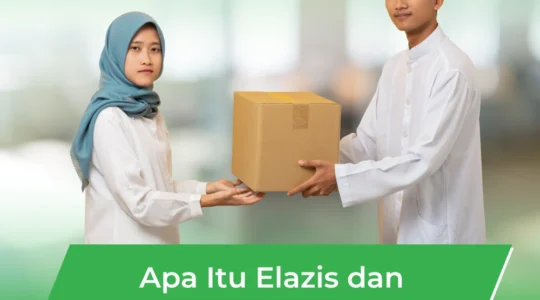 Apa Itu Elazis dan Bagaimana Cara Kerjanya